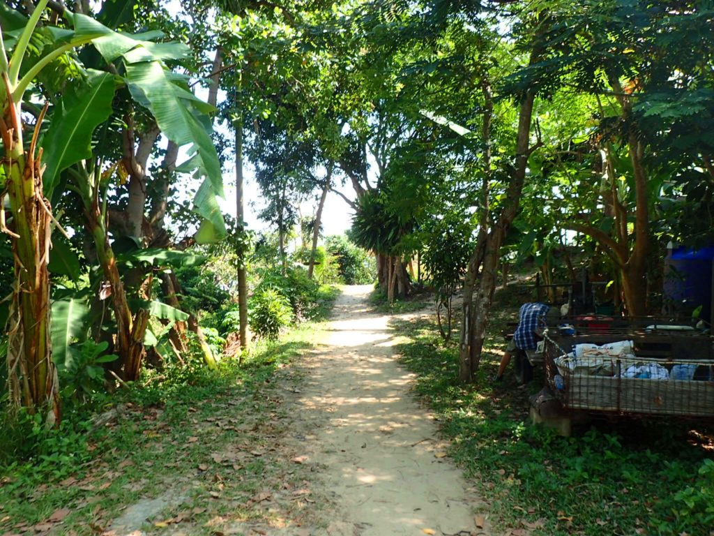 Hiking Koh Phi Phi
