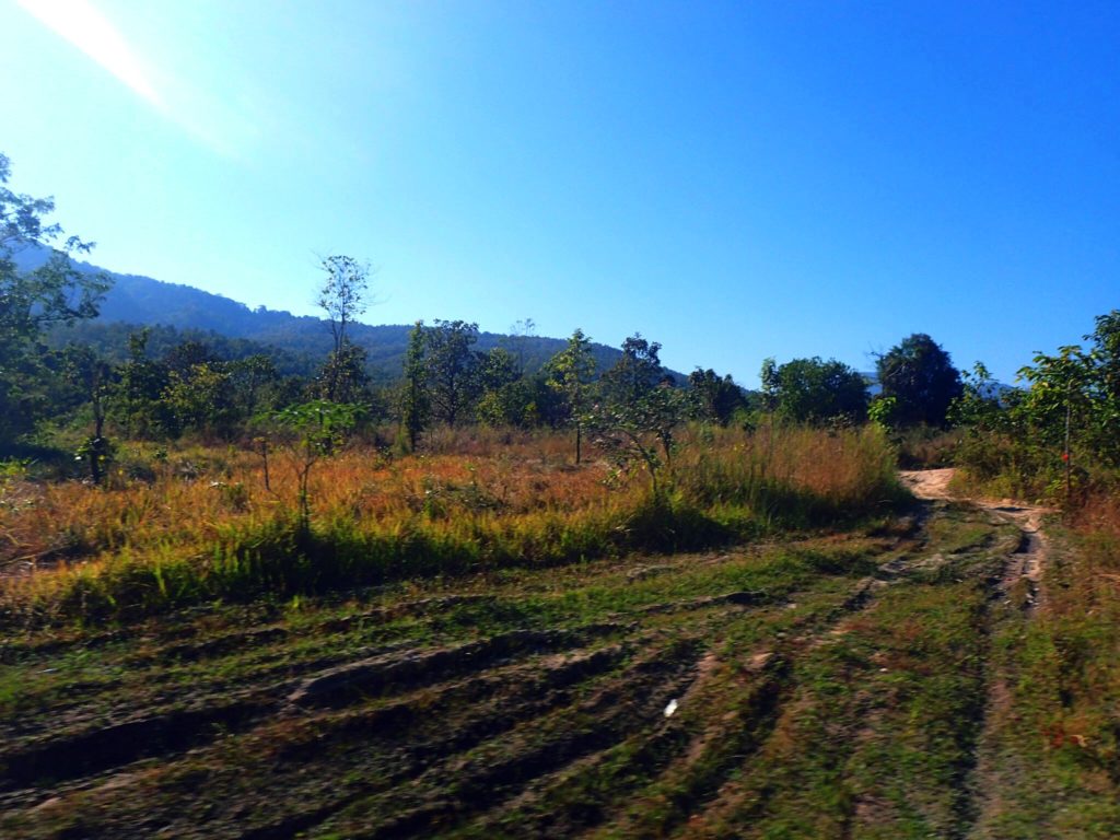 chiang mai scenery