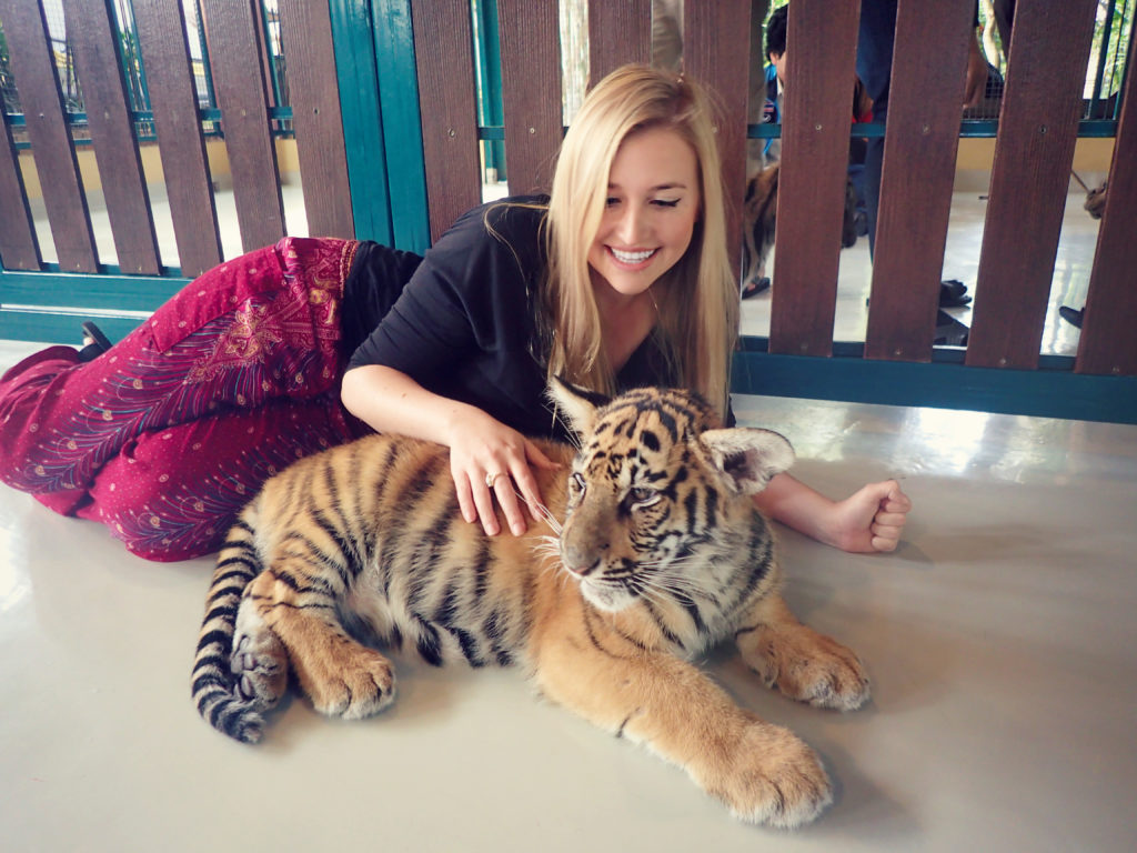 Playing with tigers in Thailand