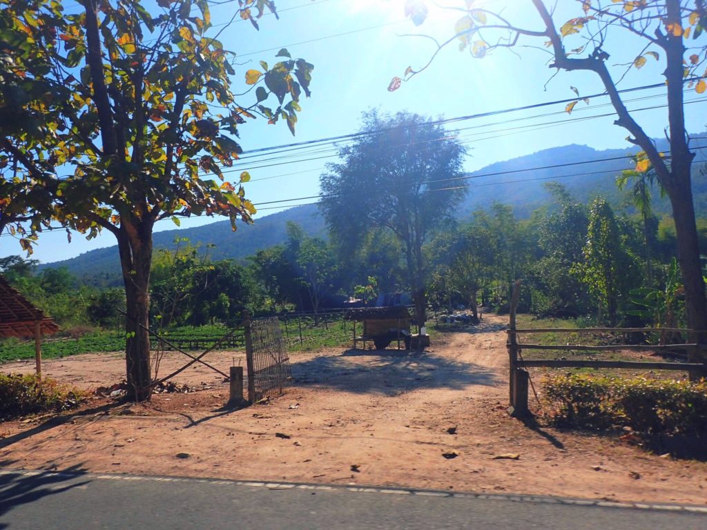 thailand farmlands