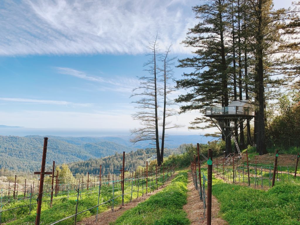 Glamping Vineyard Treehouse California