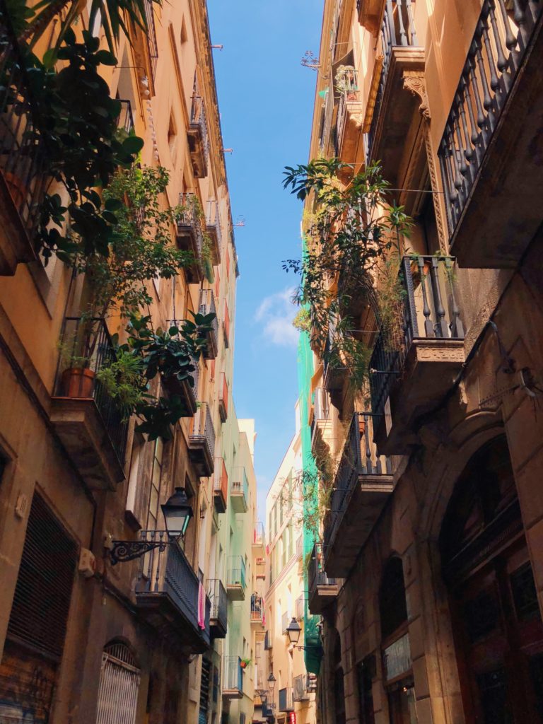 Barcelona Gothic Quarter