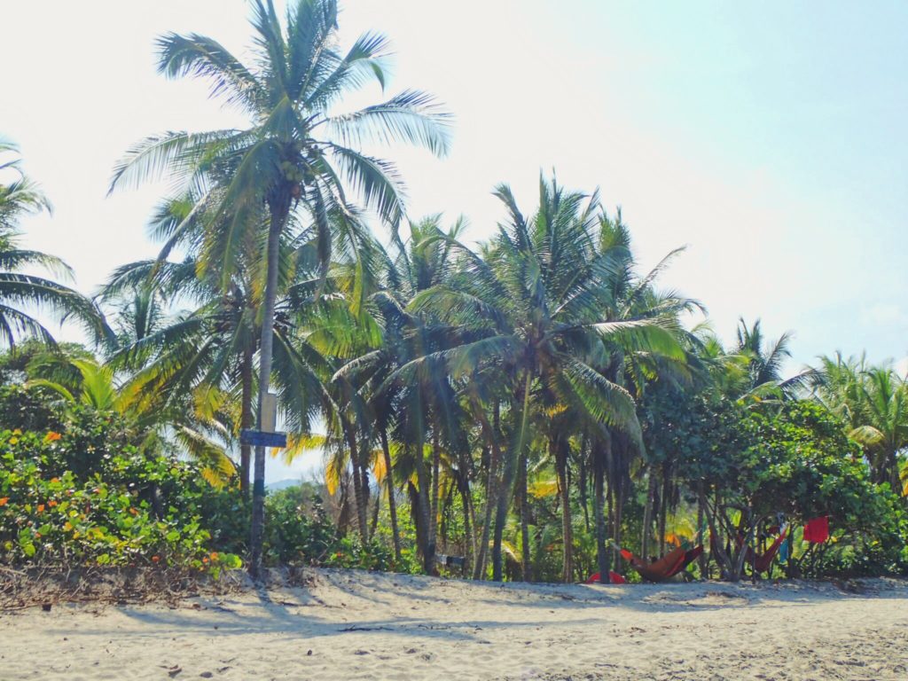 Palomino, Colombia