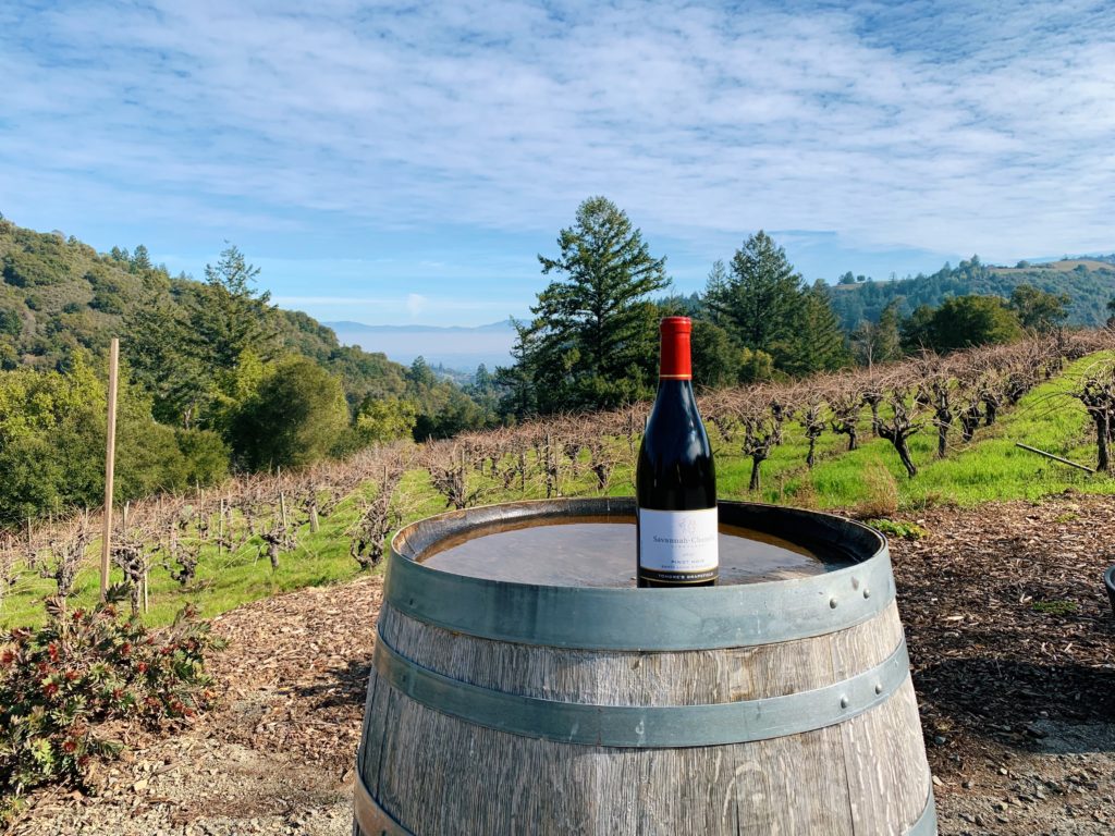 Santa Cruz Mountain Wine Tasting Guide