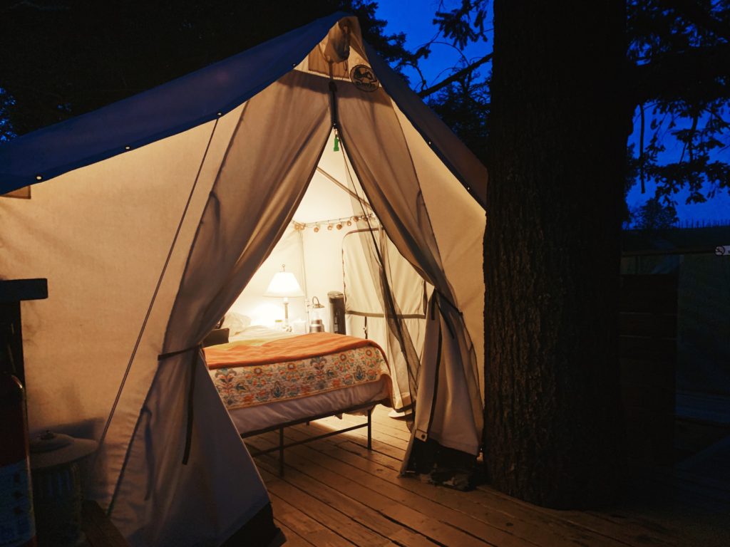 Lago Lomita Treehouse Airbnb California