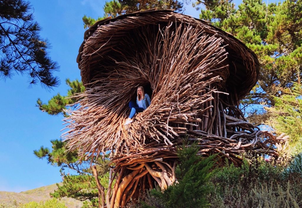 Treebones Big Sur