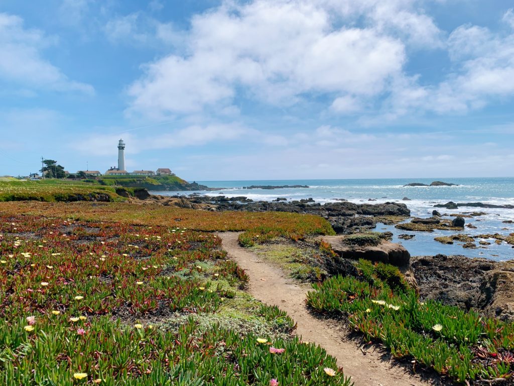 Pescadero Day Trip Itinerary