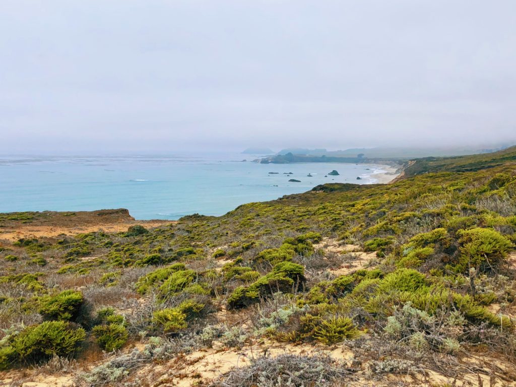 Best Hiking in Big Sur