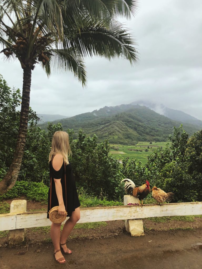 Kauai Hanalei Scenic Overlook