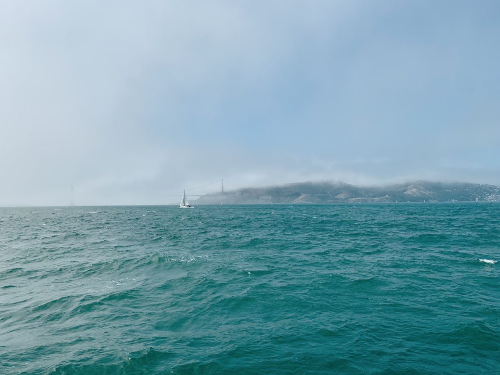 San Francisco Bay Catamaran Cruise