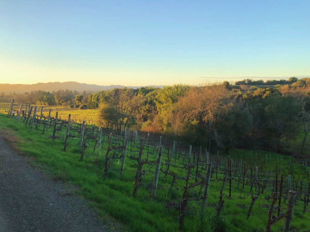 Christopher Creek Winery