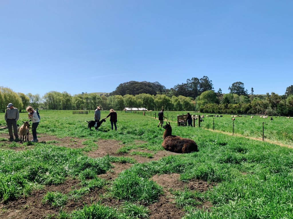 One Day in Pescadero California