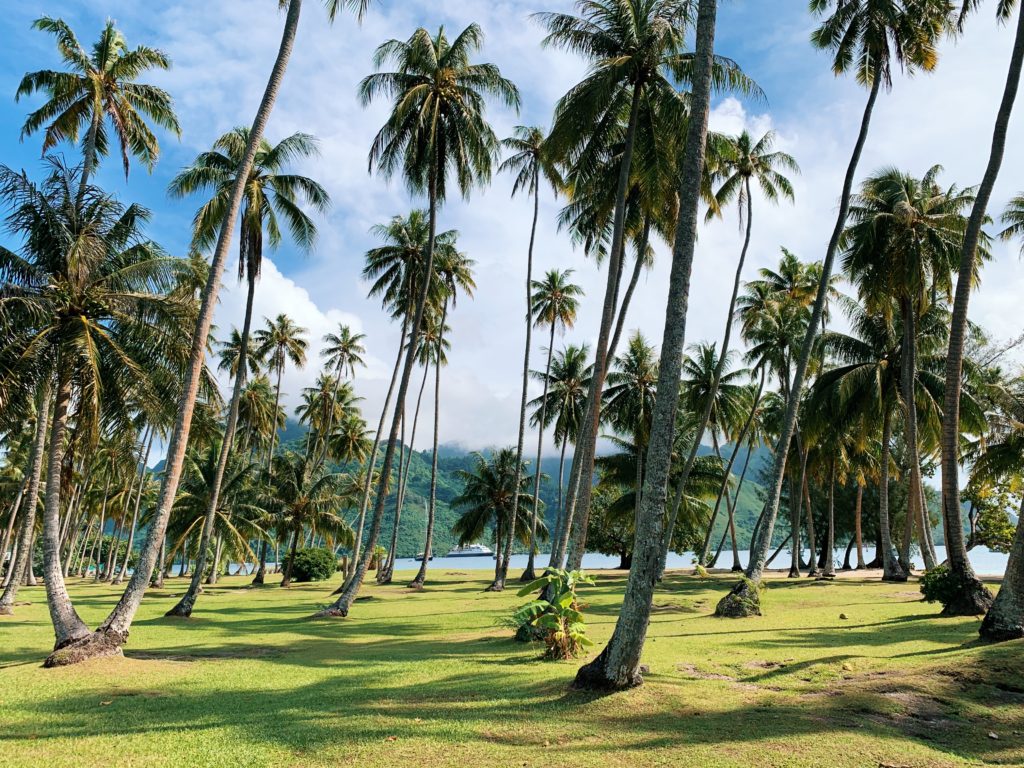 Ta’ahiamanu Beach Moorea