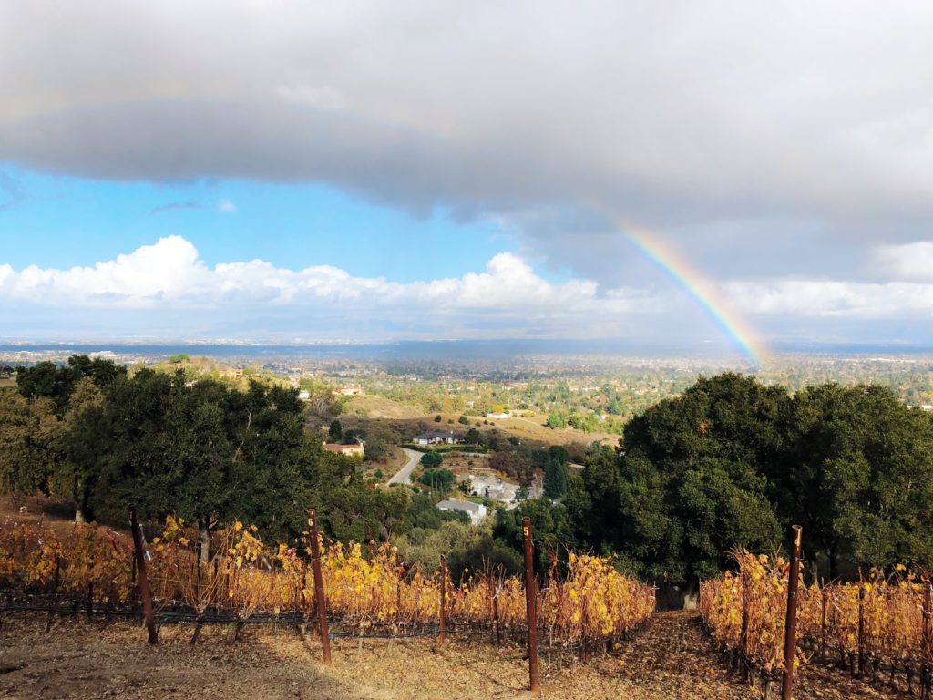 House Family Vineyards Saratoga CA