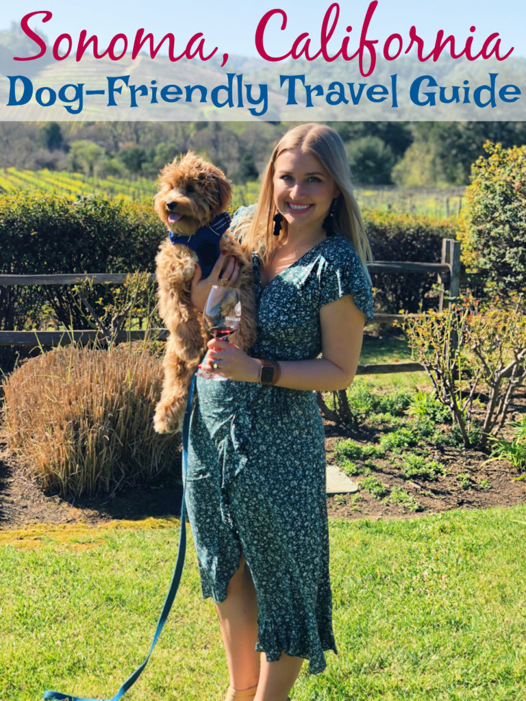  Dog Friendly Guide to Sonoma