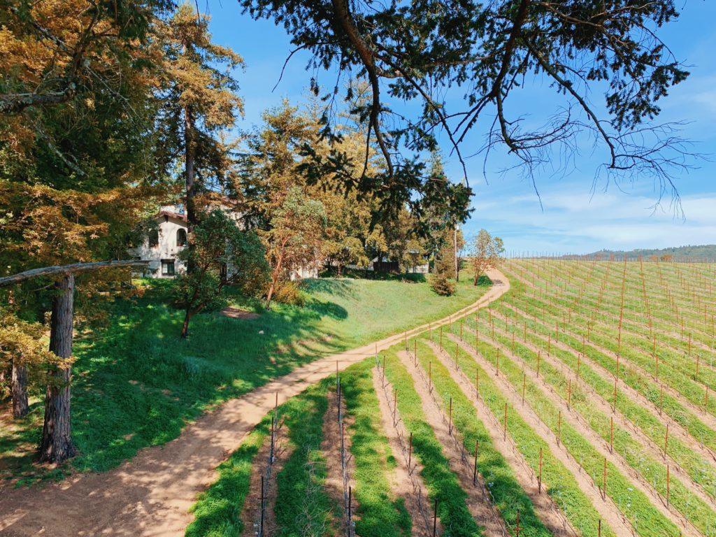 Glamping Vineyard Treehouse California