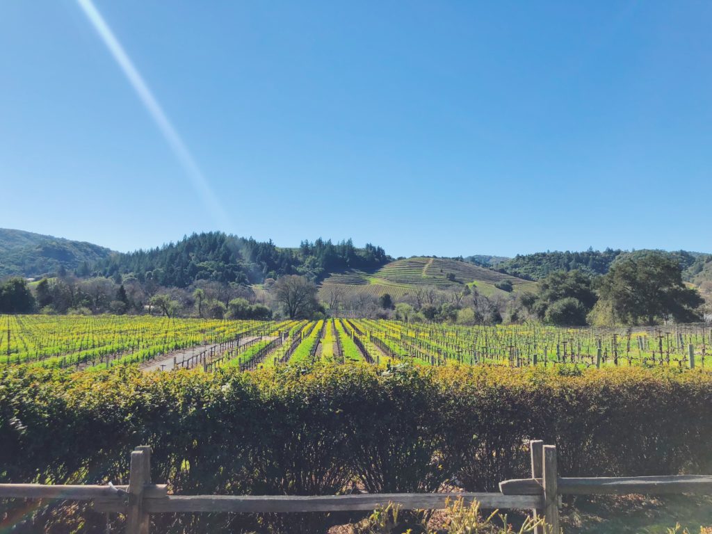 Where to stay in Sonoma