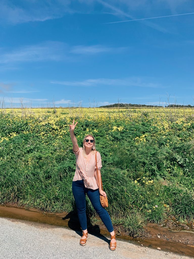 Pescadero Day Trip Itinerary