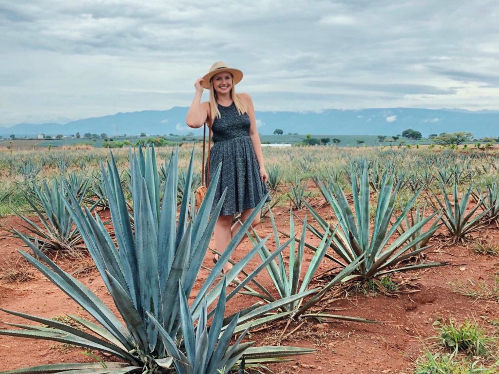 Why Visit Tequila Mexico