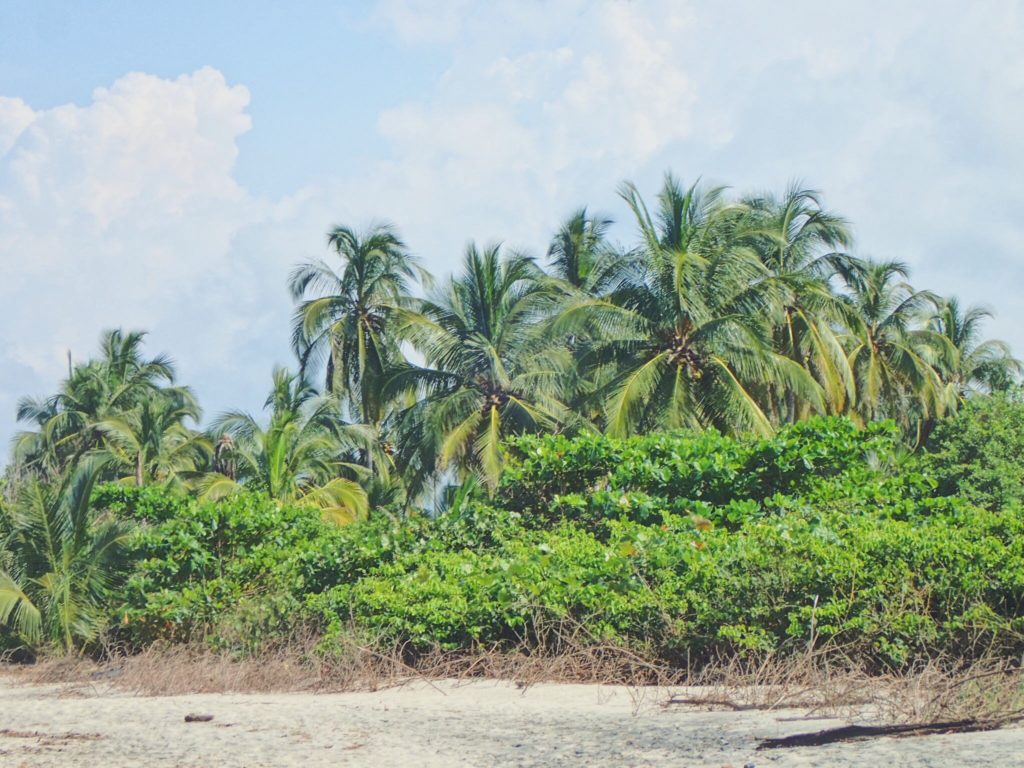 Palomino, Colombia