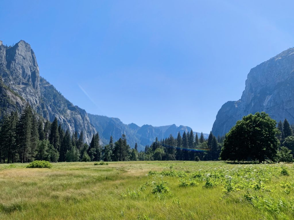 Cook's Meadow Loop Yosemite