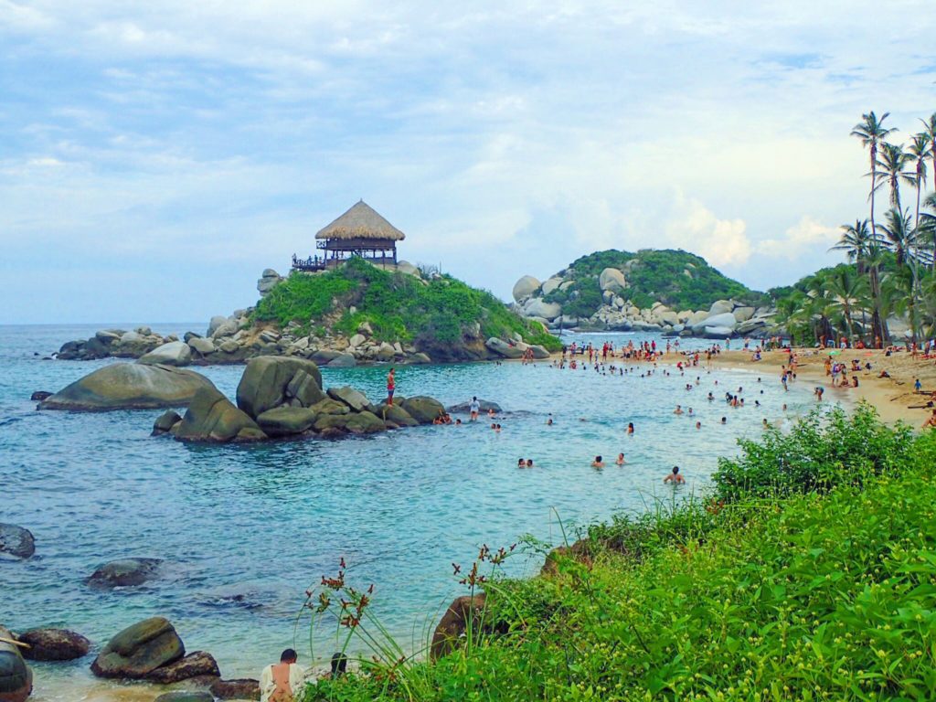 Tayrona National Park hammock