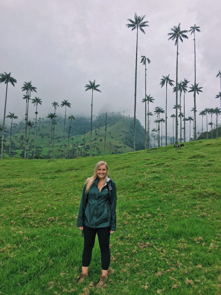 cocora valley hiking