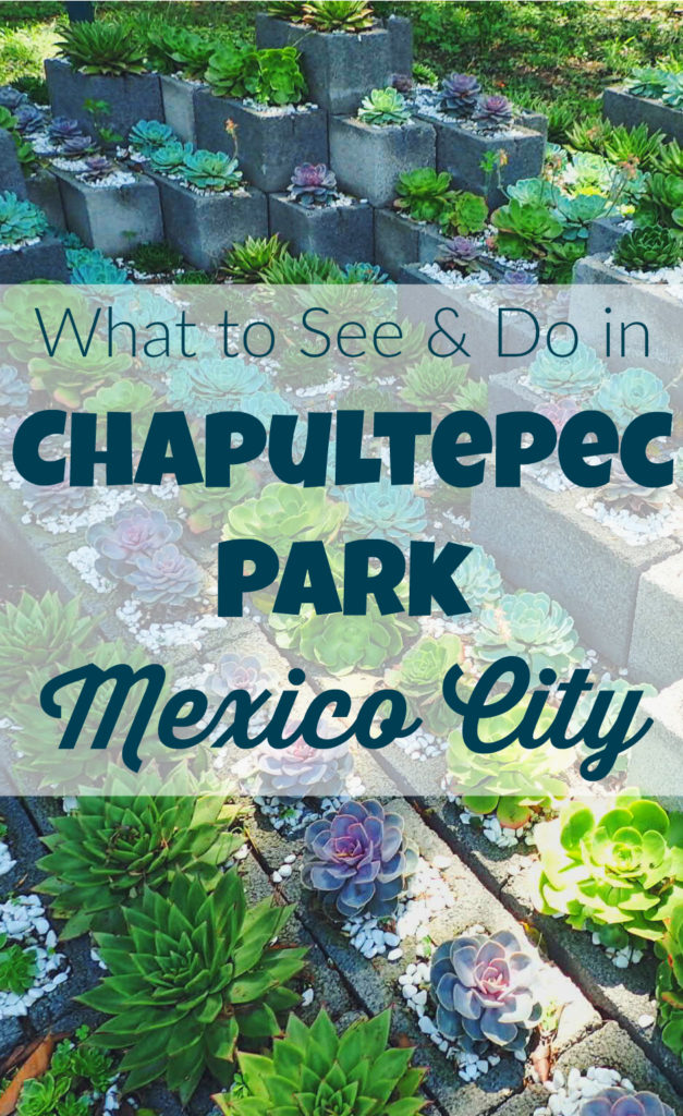 What to see and do in Mexico City's largest park
