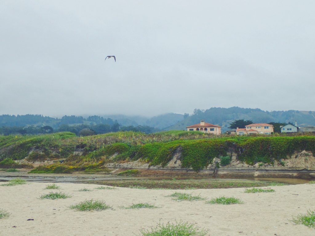 Half Moon Bay State Beach