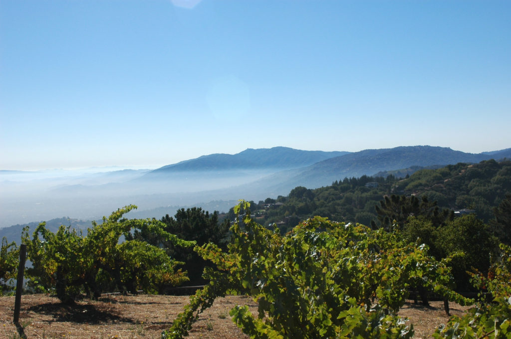 Ridge Vineyards Monte Bello